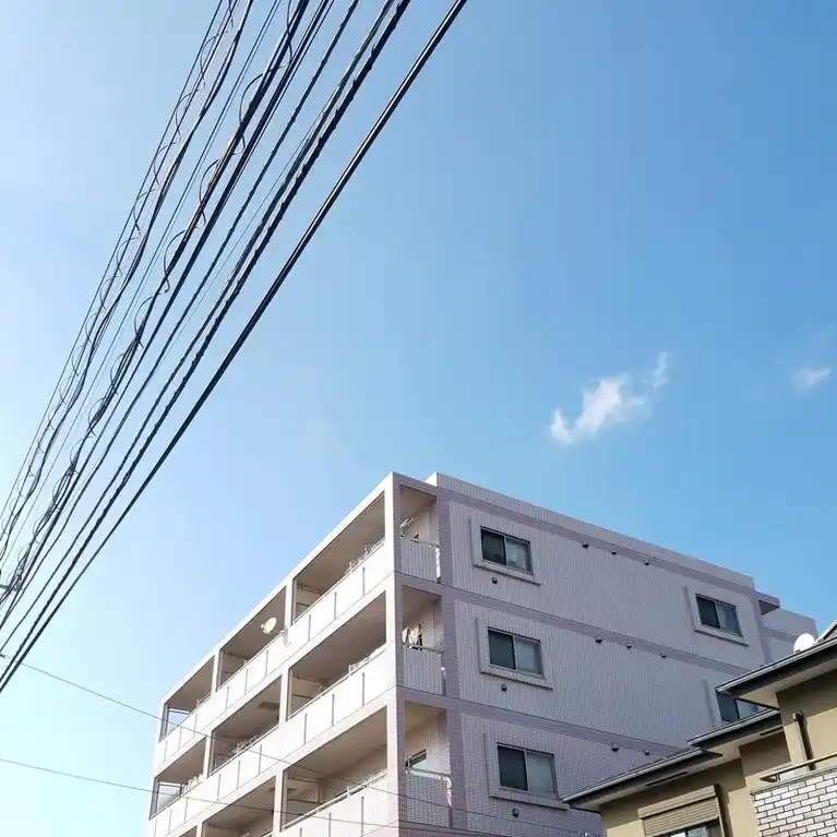 CATAKA CHEETA 外観
