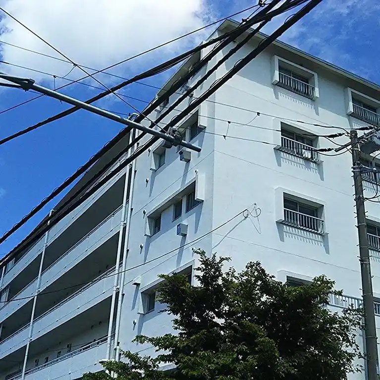 ダイアパレス白楽