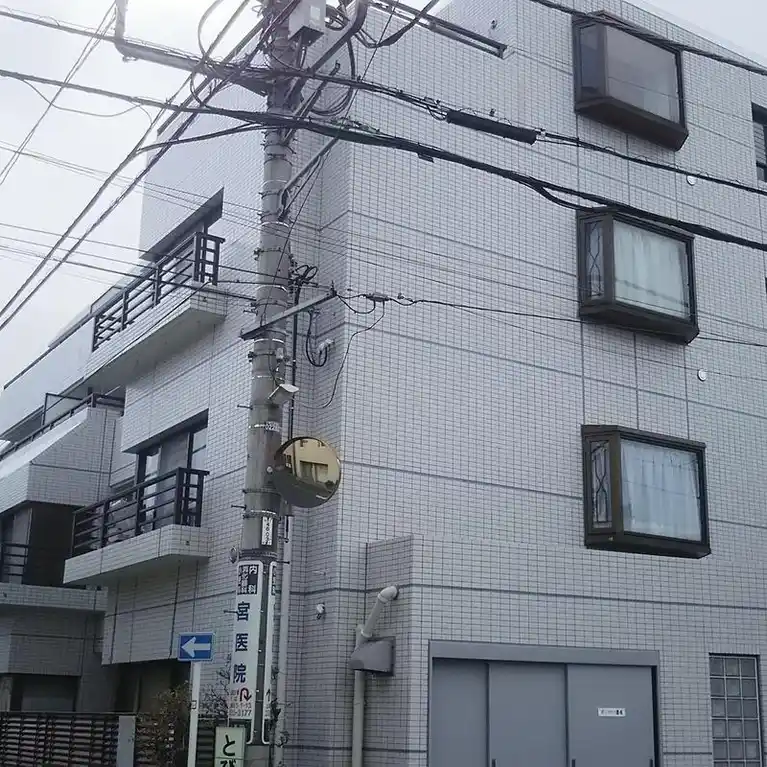 コーポダンディライオン